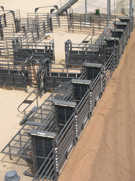 Rodeo Chute Pens 082.jpg